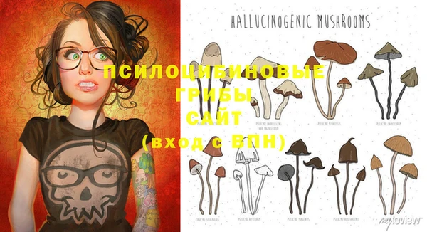 прущие крисы Лихославль